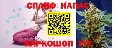 mdpv Рыбинск
