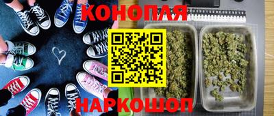 PSILOCYBIN Рязань