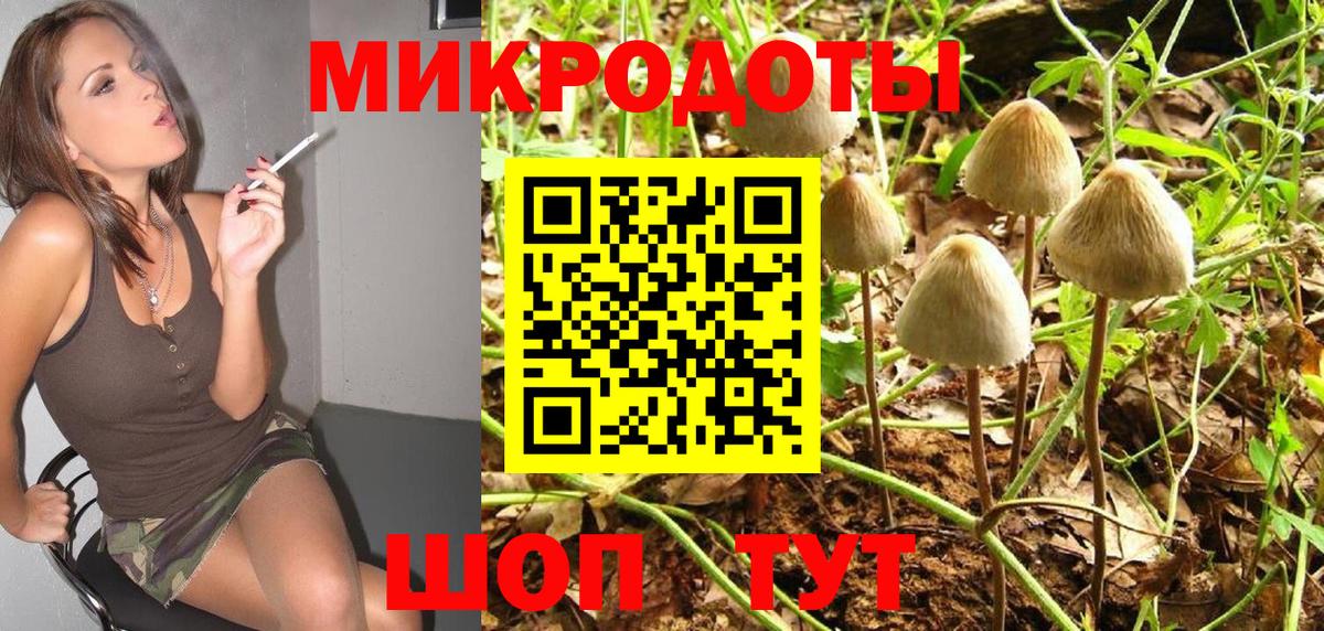 Псилоцибиновые грибы прущие грибы  Вход с VPN  Псилоцибиновые грибы Cubensis  Новочеркасск 