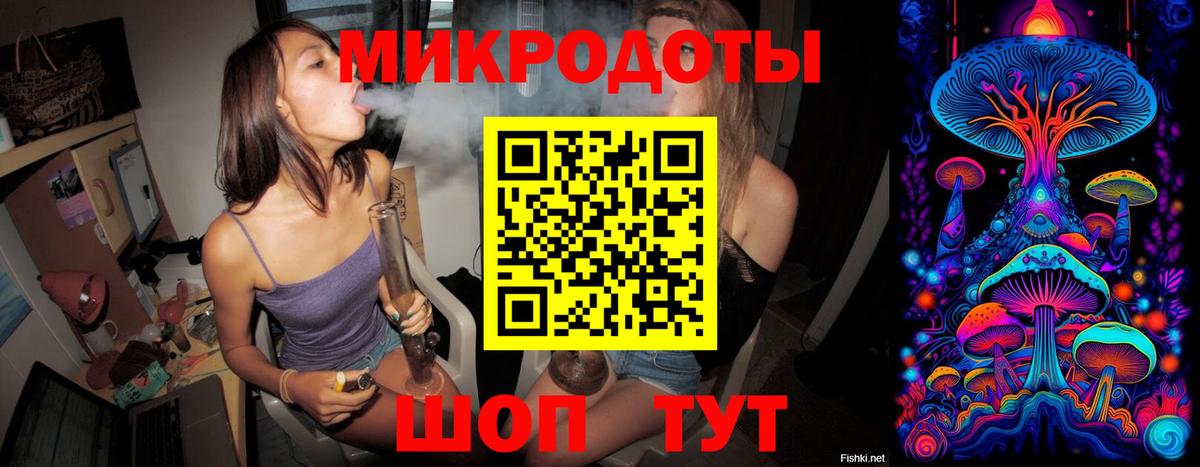 Псилоцибиновые грибы мицелий Новочеркасск